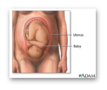 Sarcina.Ce înseamnă dacă vasele din uter sunt varicoase?